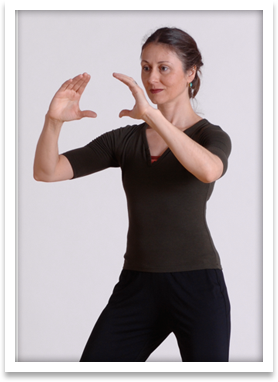 ZY Qigong practice at Windsong Innerspace